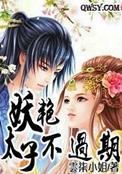 太子妃妖言惑众