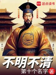 不明不清阅读