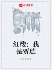 红楼我是贾琏最新