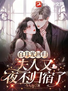 白月光回来以后 全文