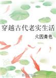 穿越古代老实生活简介