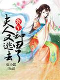 夫人又逃婚了
