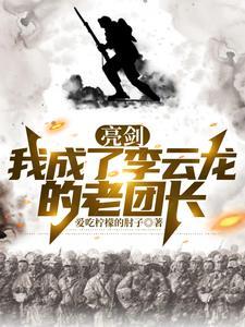 亮剑一我震惊了李云龙