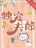 独宠夫郎百度