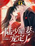 陆少宠妻甜又暖