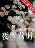 夜雪莺时先婚后爱妄云