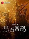 黑石密码顶点