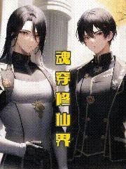 魂穿修仙界(女穿男)