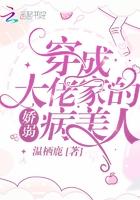 穿成大佬的娇弱病美人全文免费阅读