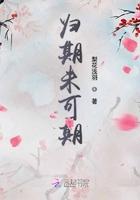 归期未可期表达了什么情感