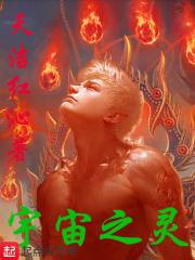 宇宙之灵九大魂技