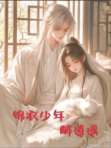 少年锦衣卫角色介绍