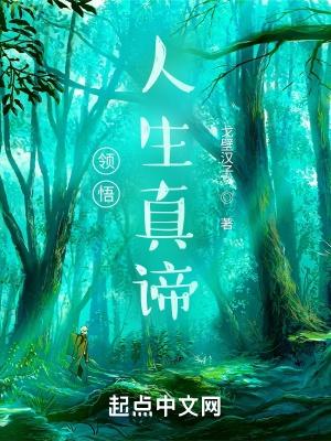 领悟人生真谛把握人生方向题目