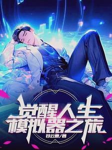 觉醒人生模拟器系统