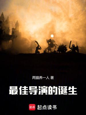 最佳导演的诞生 笔趣阁