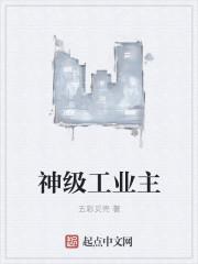 神级工业主TXT免费