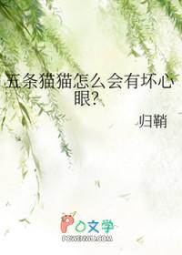 五条猫是什么猫