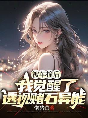 被车撞后我觉醒了透视赌石异能懒猪