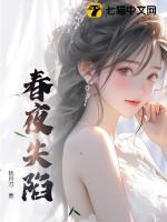 春夜失陷TXT