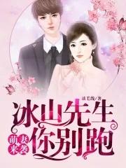 冰山总裁小萌妻免费阅读下拉式