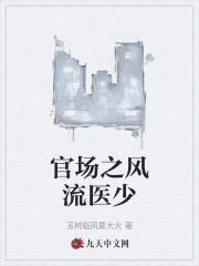 官场之风流医少正版免费阅读