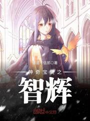 神奇宝贝之智辉免费阅读全文