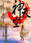 神天空推荐