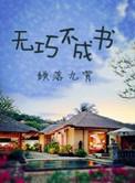 无巧不成书与书
